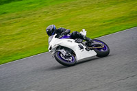 Advanced Group White Bikes